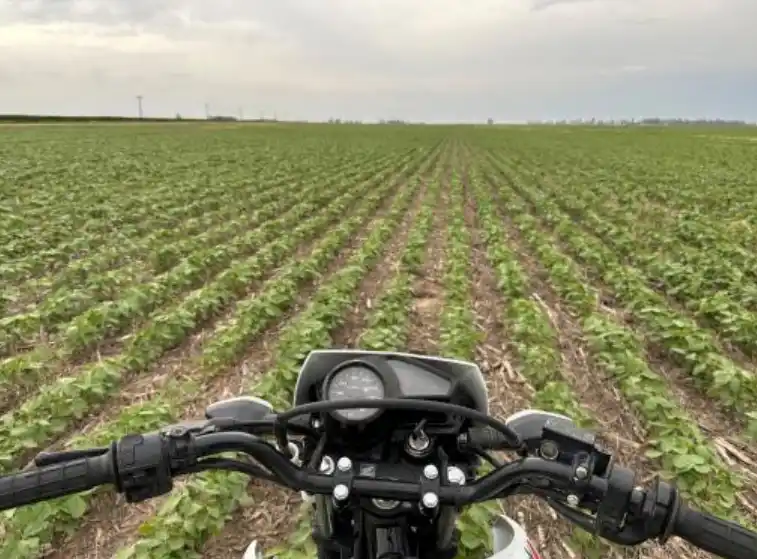 La carrera por abrochar exitosamente una nueva cosecha de gruesa encuentra a la empresa agropecuaria con márgenes apretados.
