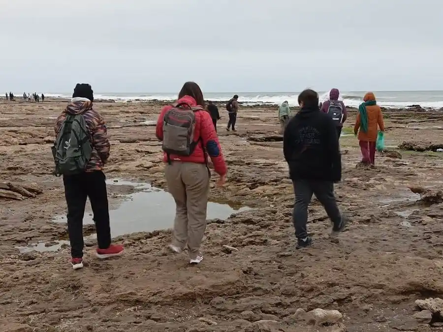Sin arena. Biólogos recorriendo las playas de Claromecó, impactadas recientemente por la ciclogénesis