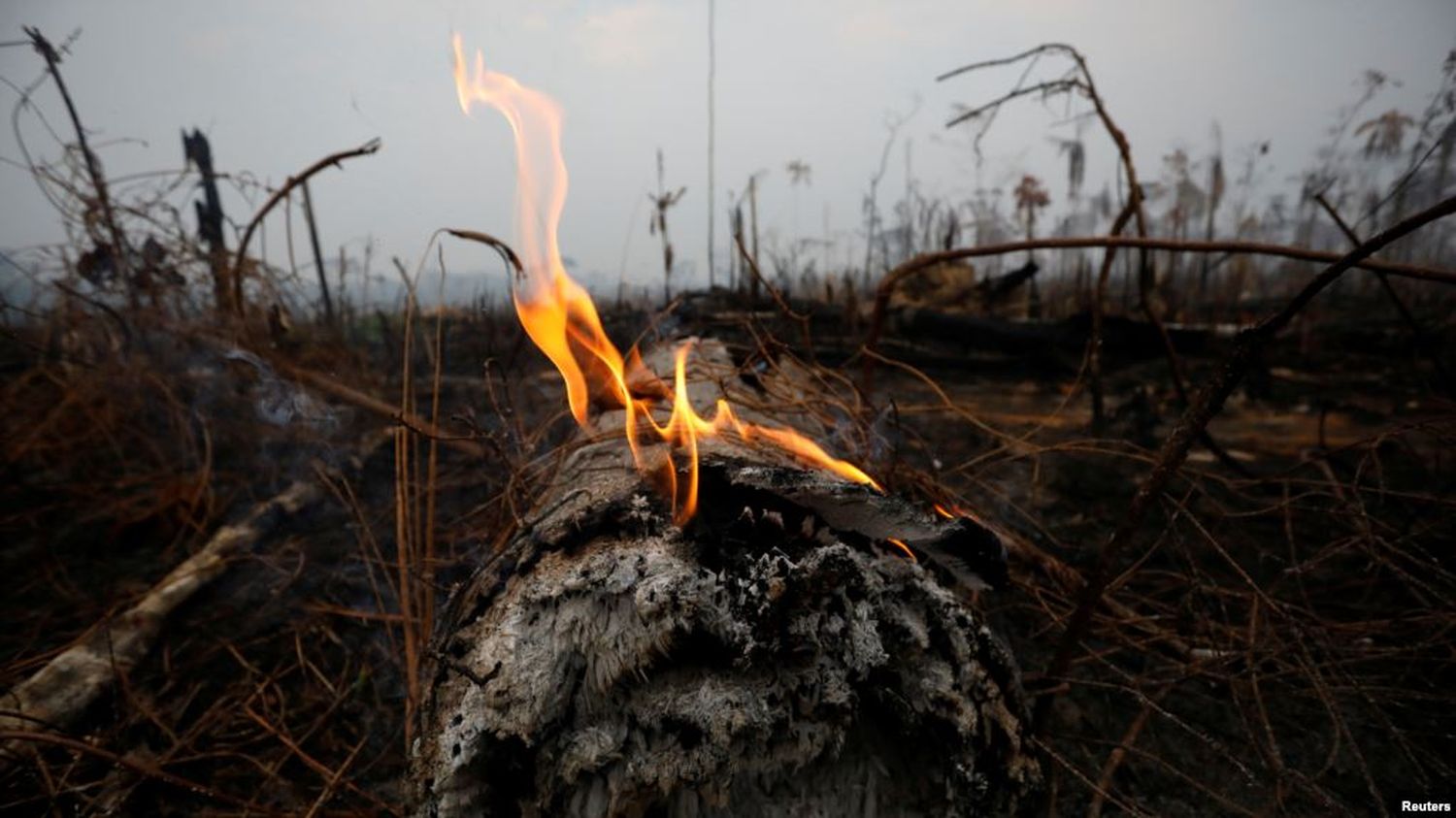 Bolsonaro decreta una prohibición de quemas en todo Brasil por dos meses para contener el fuego en el Amazonas