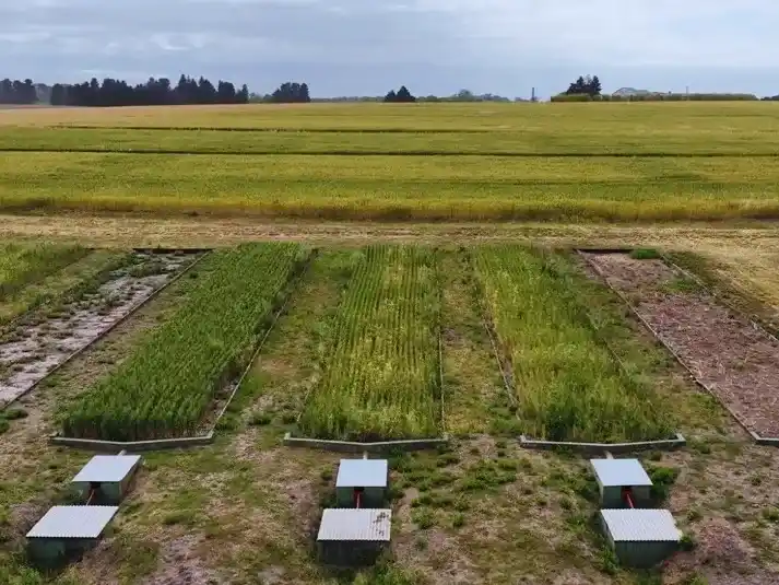 Las prácticas de manejo reducen drásticamente las pérdidas de suelo
