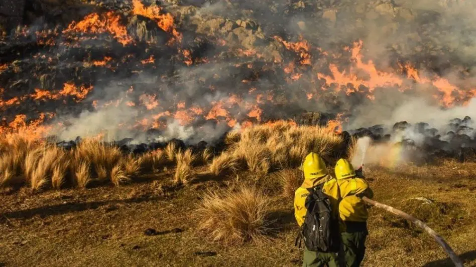 Alertan por los incendios forestales y la bajante del río Paraná