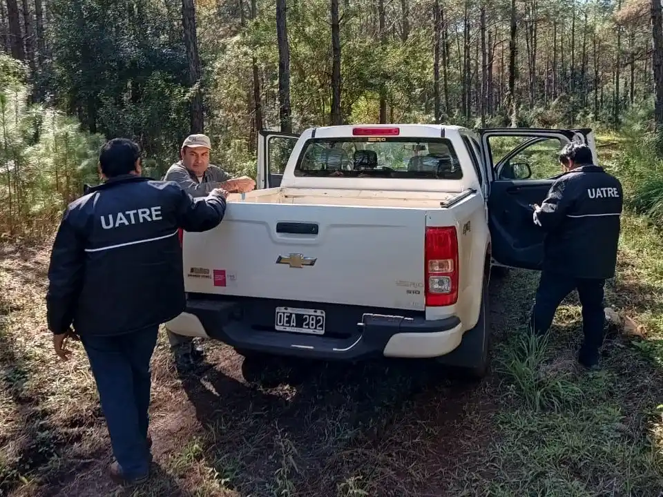 inspecciones de uatre