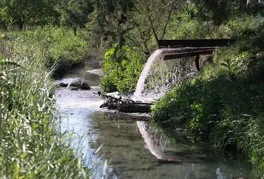 La Federal tomó muestras de la contaminación en el PIG 