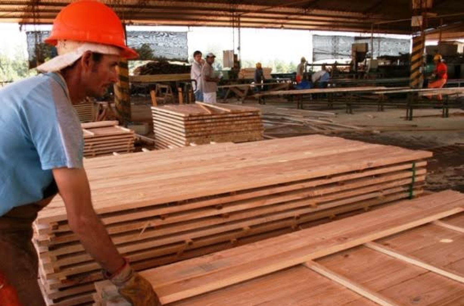 El sector maderero exigió medidas para reactivar el consumo