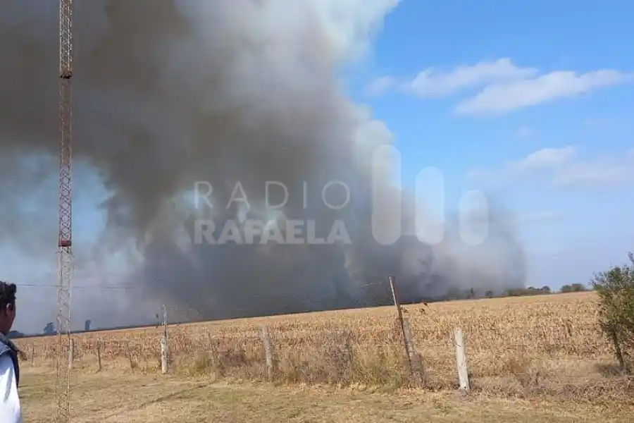 Gran susto en un campo de la región por un incendio que acorralaba a las vacas