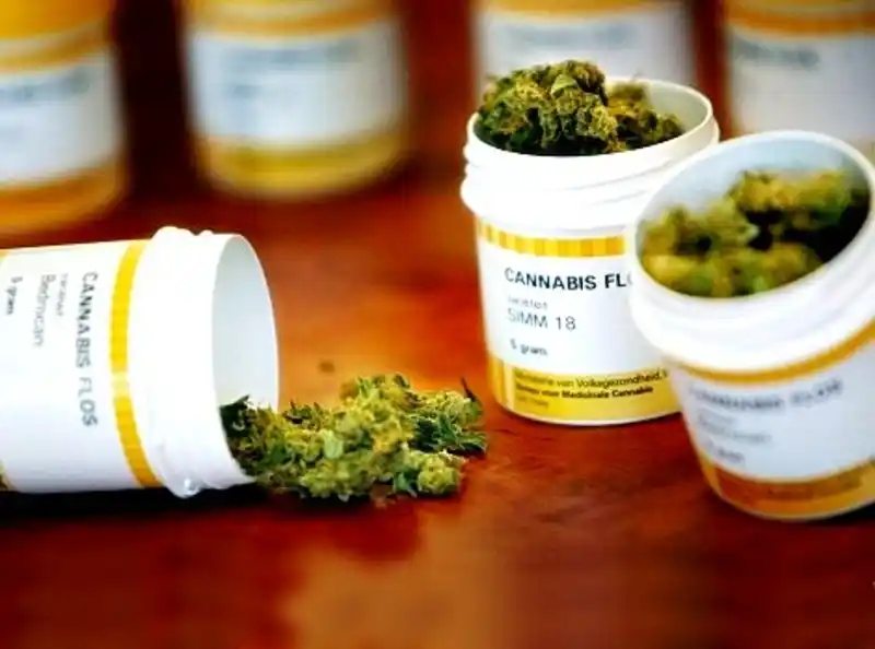 La Justicia ordenó a IOMA cubrir un tratamiento con aceite de cannabis