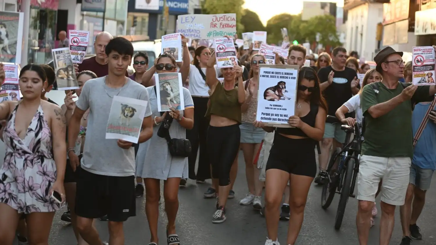 BERRUGON MARCHA - 2