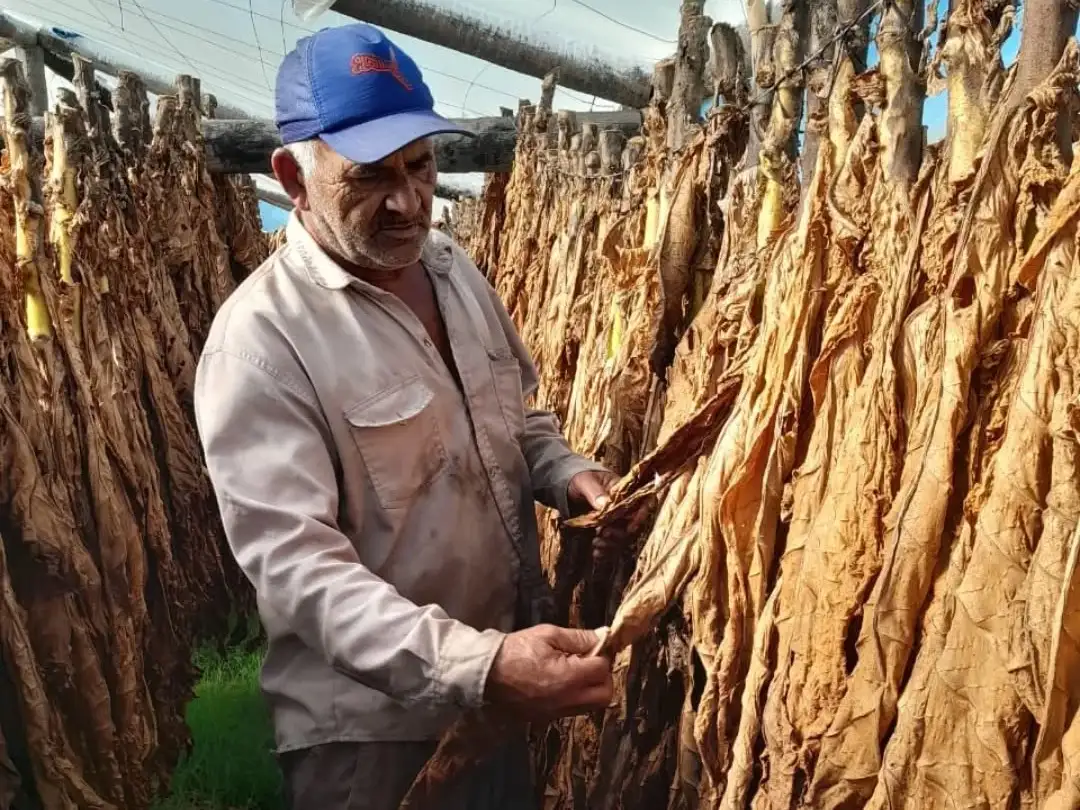 El PAIPPA acentúa acciones de cara al inicio de la siembra de segunda