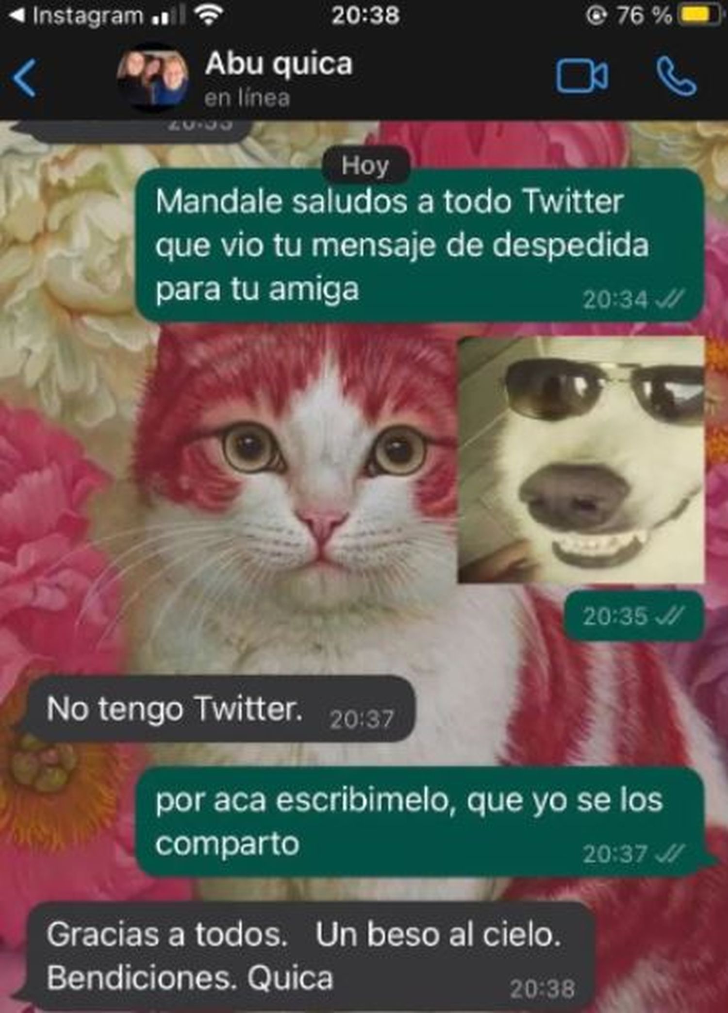 chat - 1