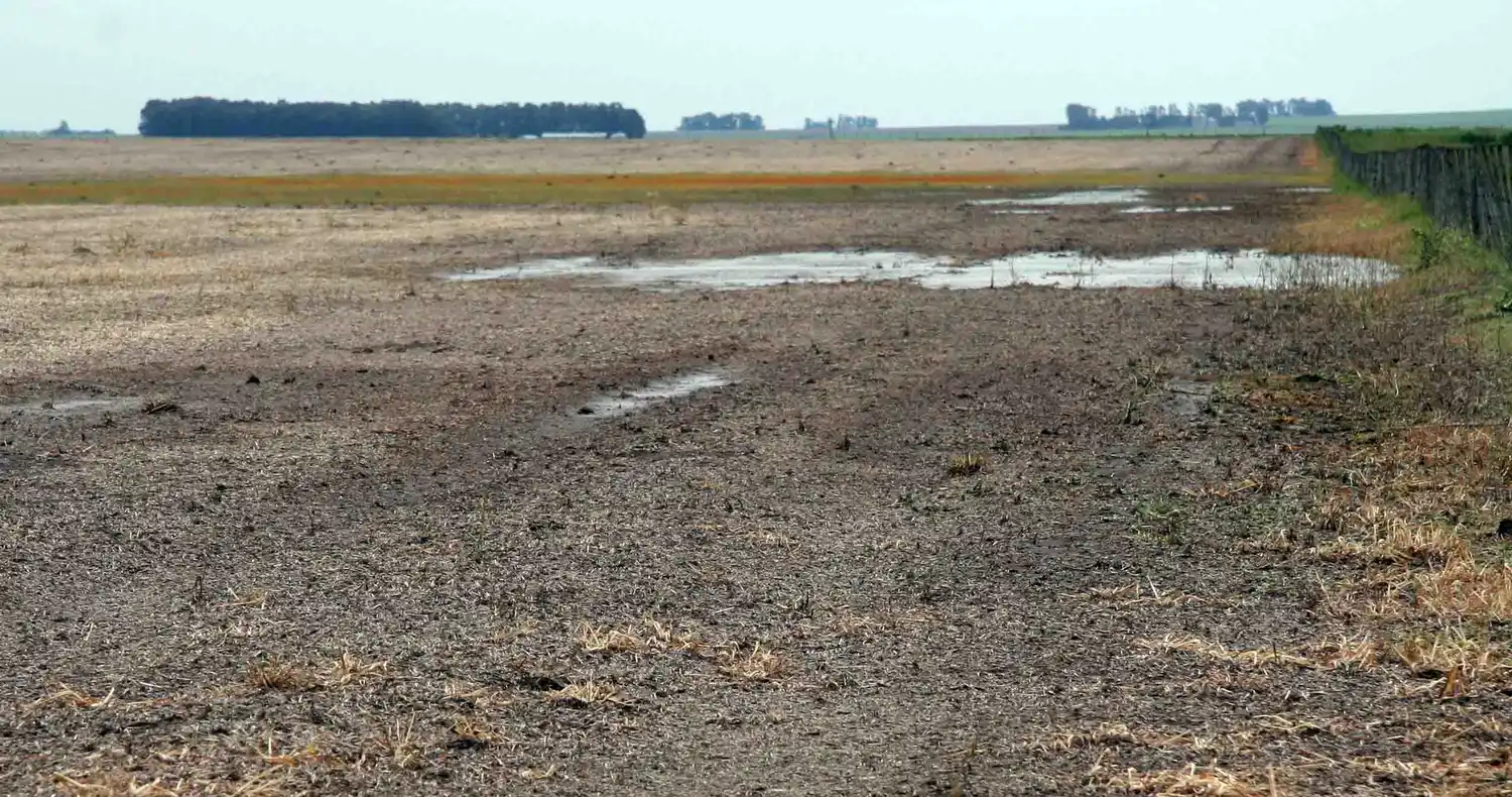 Lluvias desparejas en la región aportaron más oxígeno a la gruesa