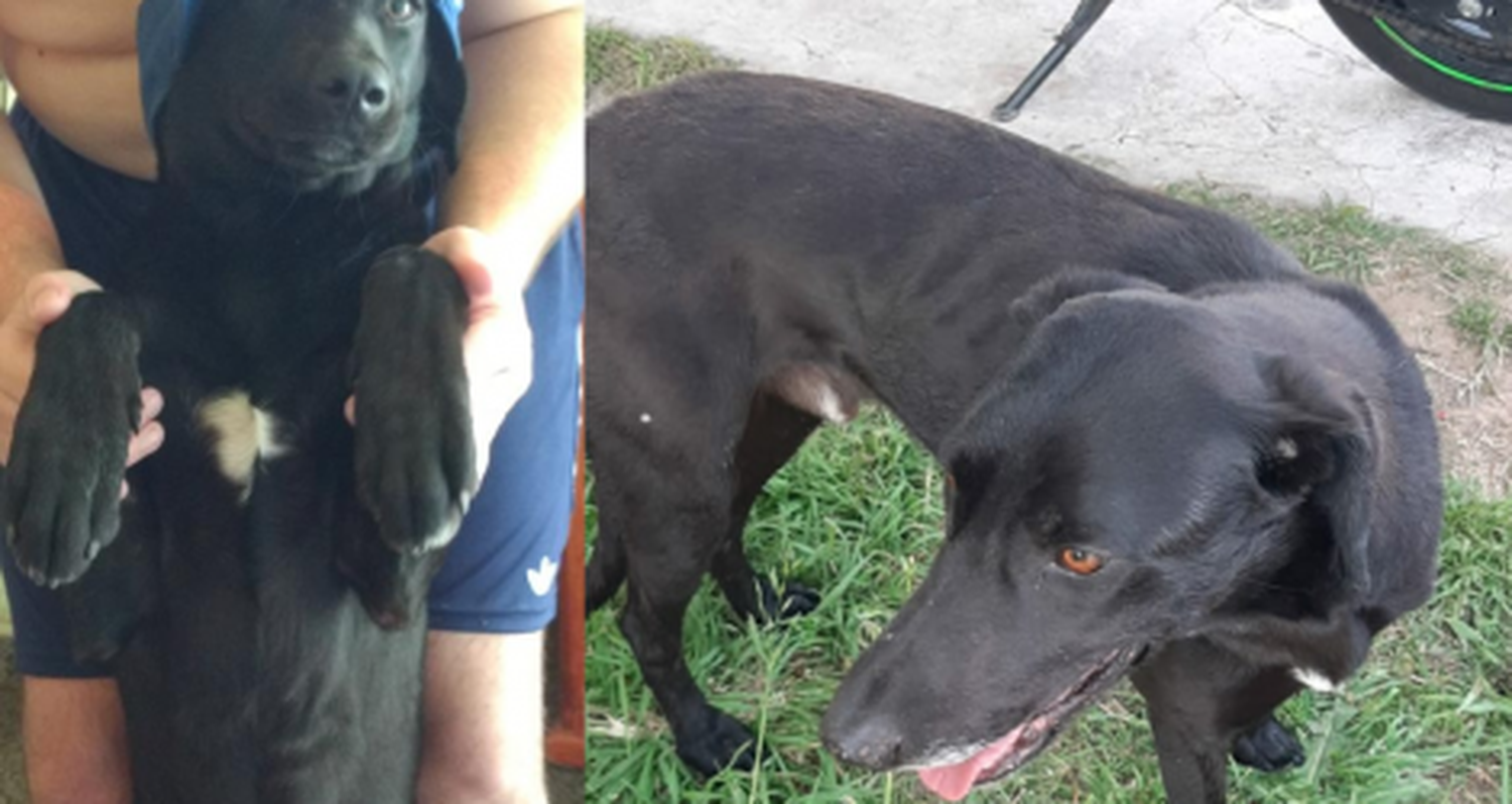 Buscan a Apache