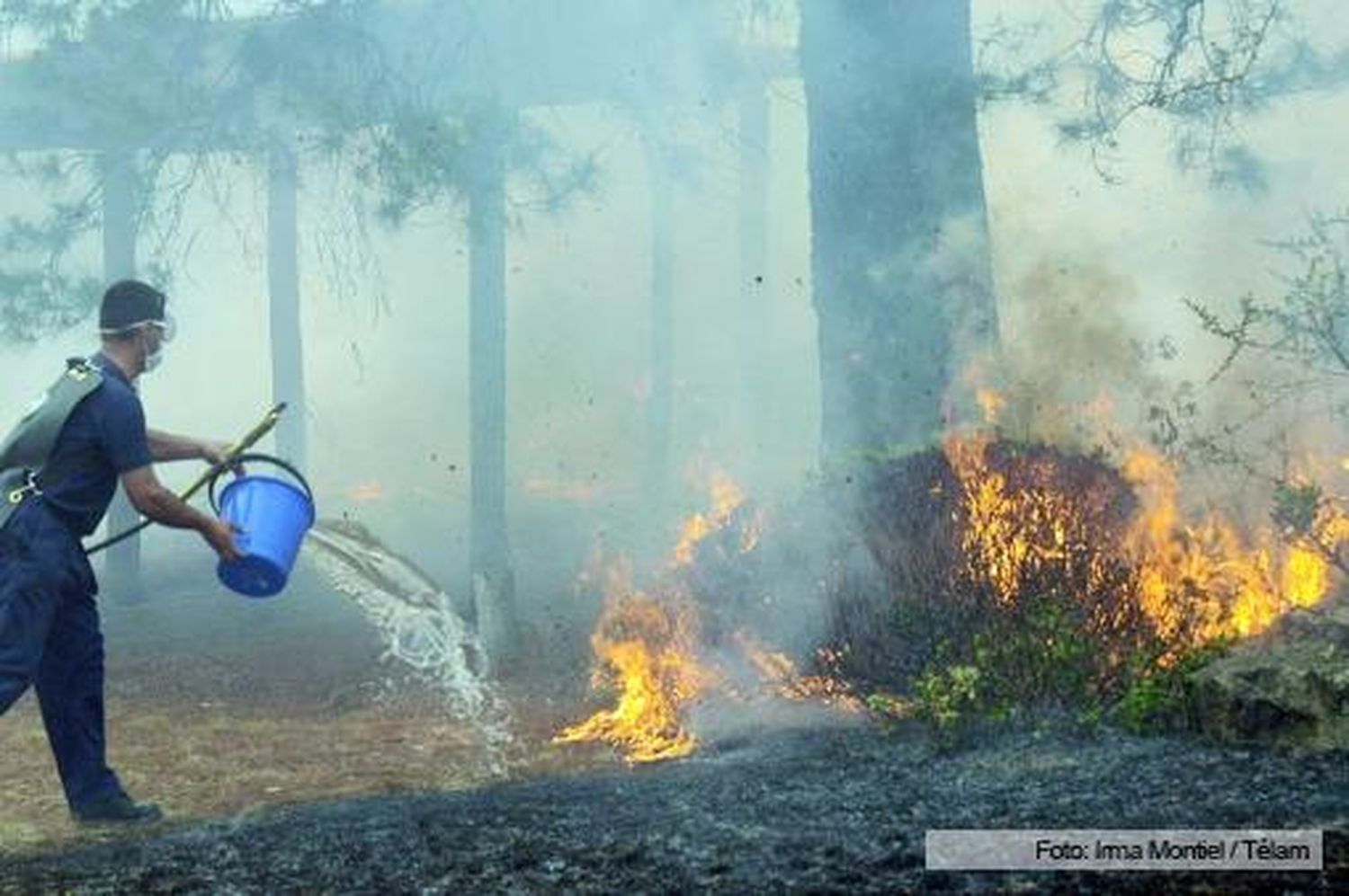 Logran controlar el 70% de los incendios en los campos de Córdoba