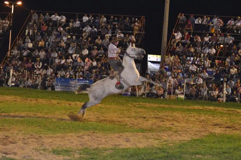 La primera luna festivalera recibió sus primeras montas