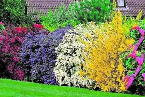 Paisajismo - La belleza compartida del paisaje prestado