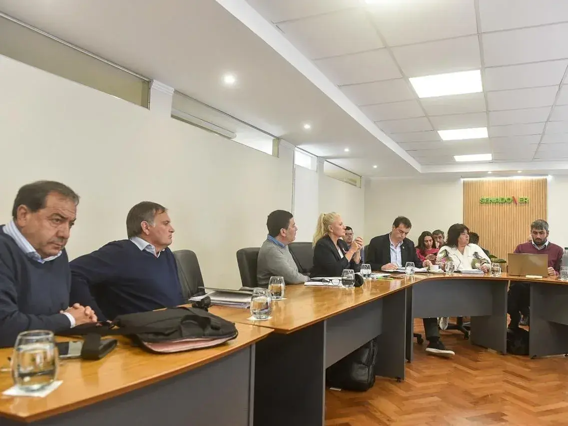 Ética pública: avanzó en el Senado un proyecto con declaraciones patrimoniales anuales y sanciones