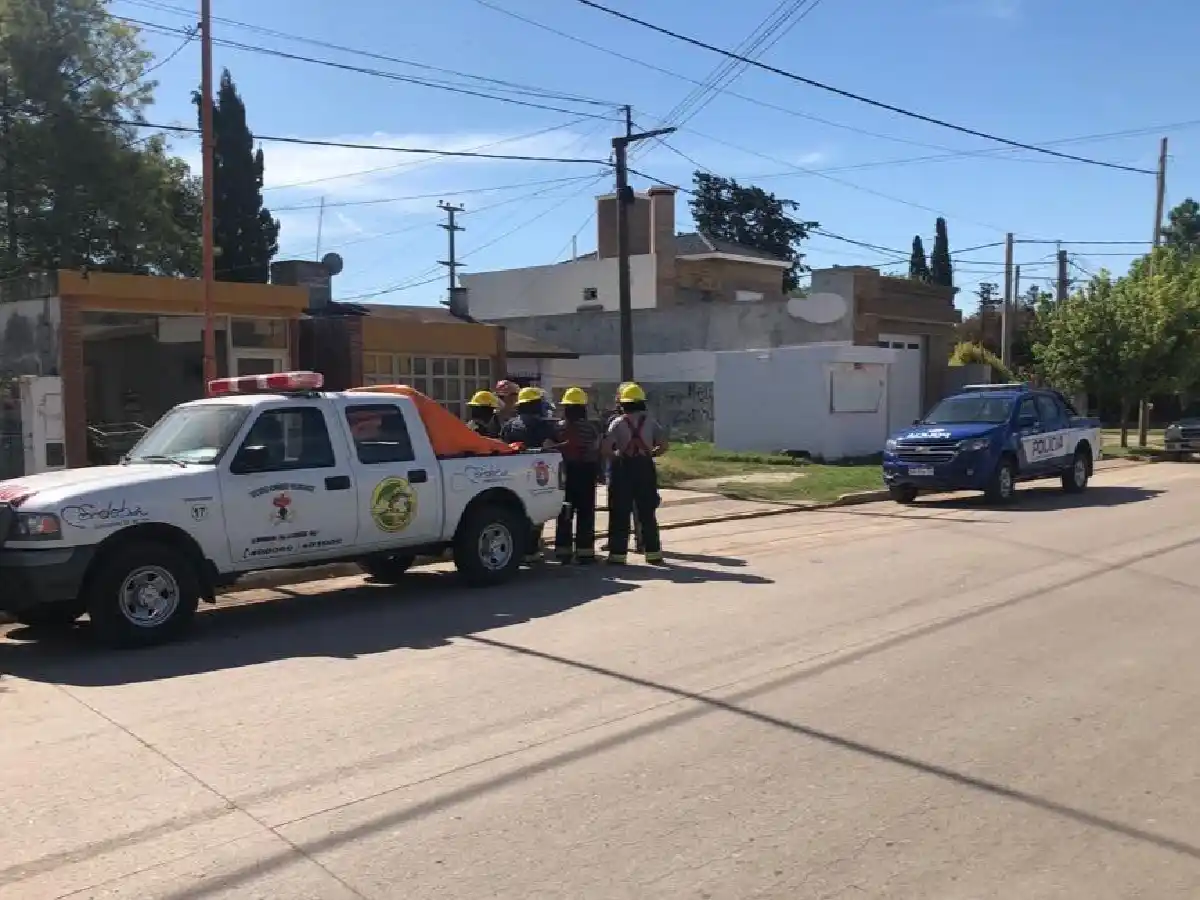 Brinkmann: allanamiento y secuestro de un perro que atacó y ató a otro 