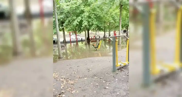 #Reporte: ¡Cuanto turismo! Lastima esto, nada cuesta rellenar