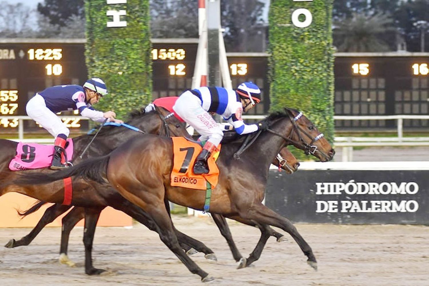 Domingo 8: Actividad Hipódromo de Palermo