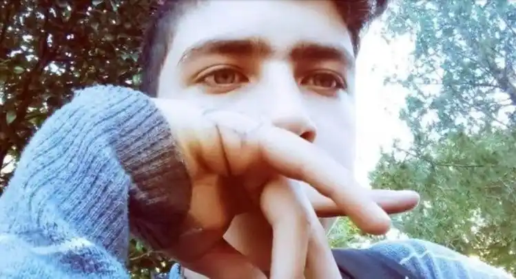 Misiones: murió un chico de 15 años por la picadura de la araña “del rincón”