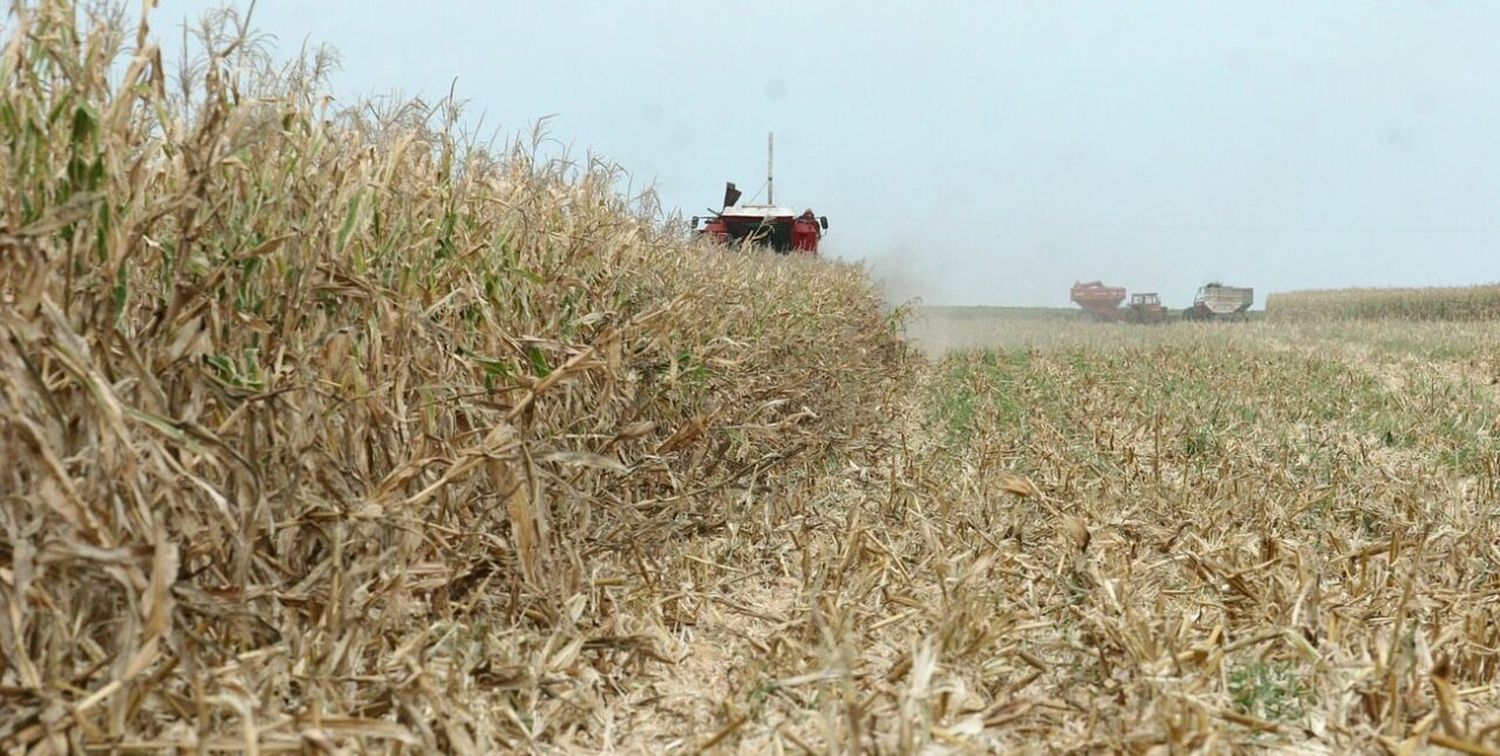 Diputados escuchó a entidades agropecuarias por la futura ley de emergencias y desastres