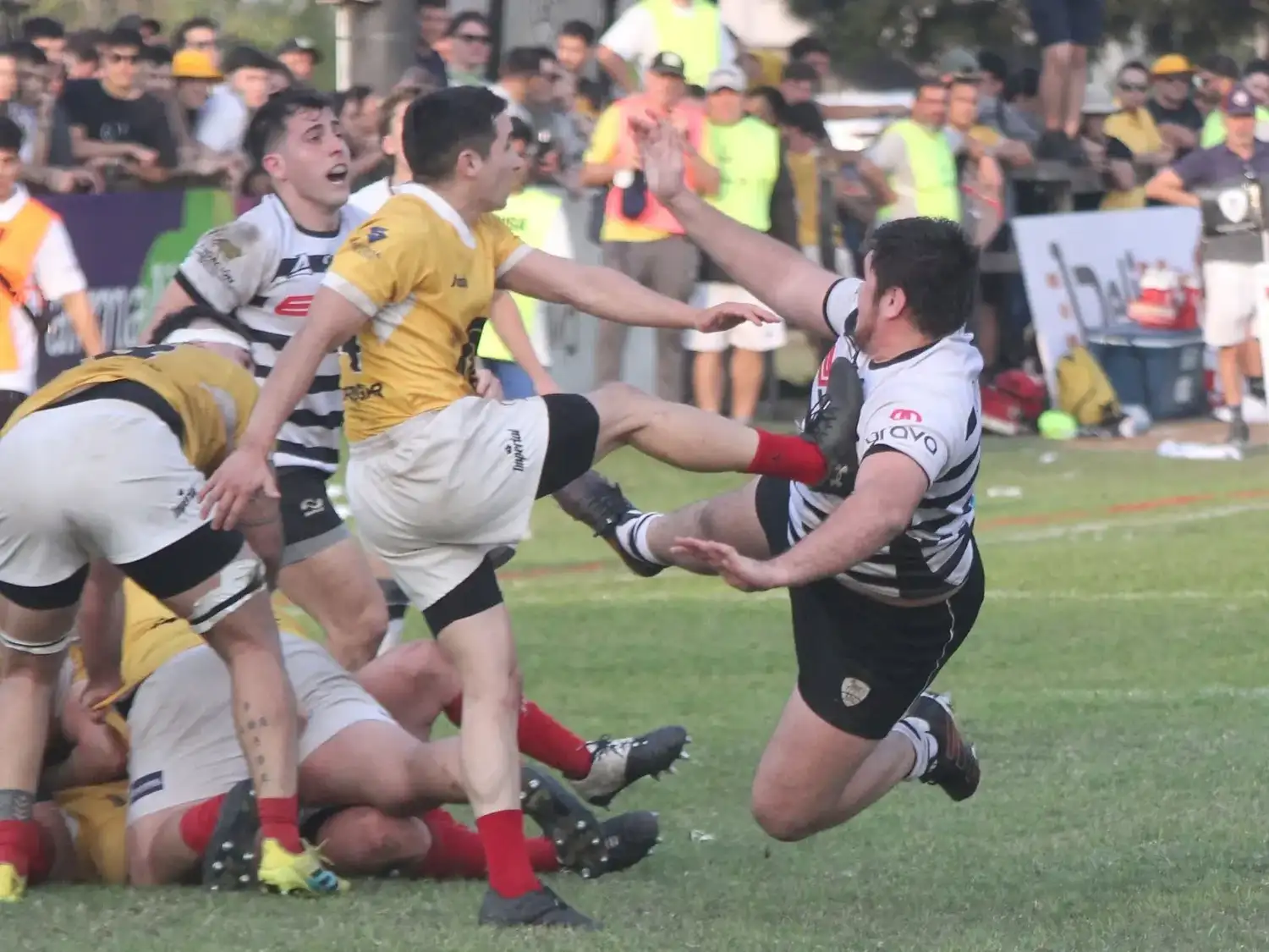 rugby2