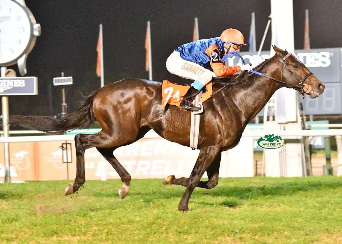 El Carlos Pellegrini, la gran final del turf argentino