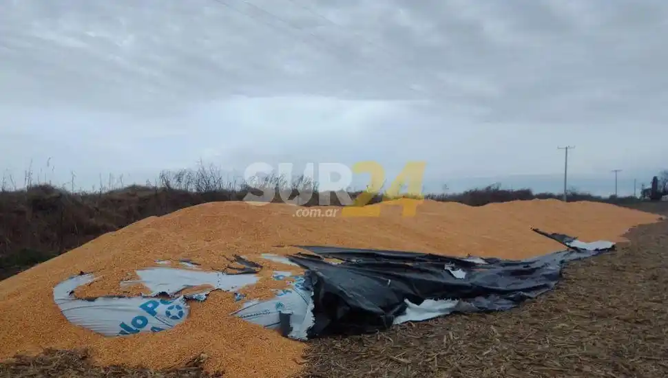 Tajearon un silo bolsa con soja en Amenábar