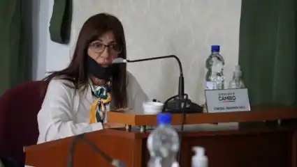 Ensenada: Una concejal de JxC asegura que Mario Secco le robó su proyecto y dice que al FdT "no se le cae una idea"