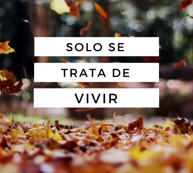 Solo se trata de vivir