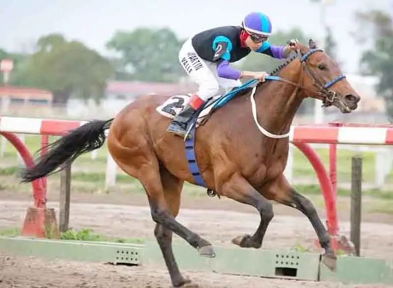 Lunes 8: Actividad Hipódromo de Palermo
