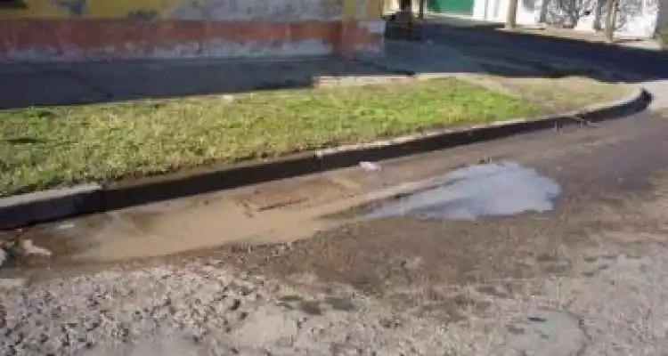 Homenaje al Bache