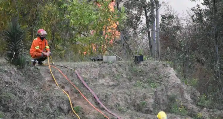 El Gobierno prepara una denuncia penal por los incendios en la zona de islas