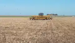 Comenzó la siembra de maíz y hay grandes expectativas