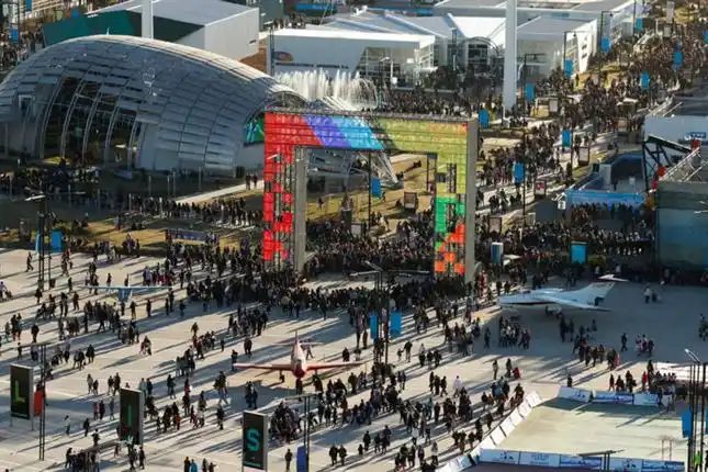 Agapornis en el último día de Tecnópolis 2013