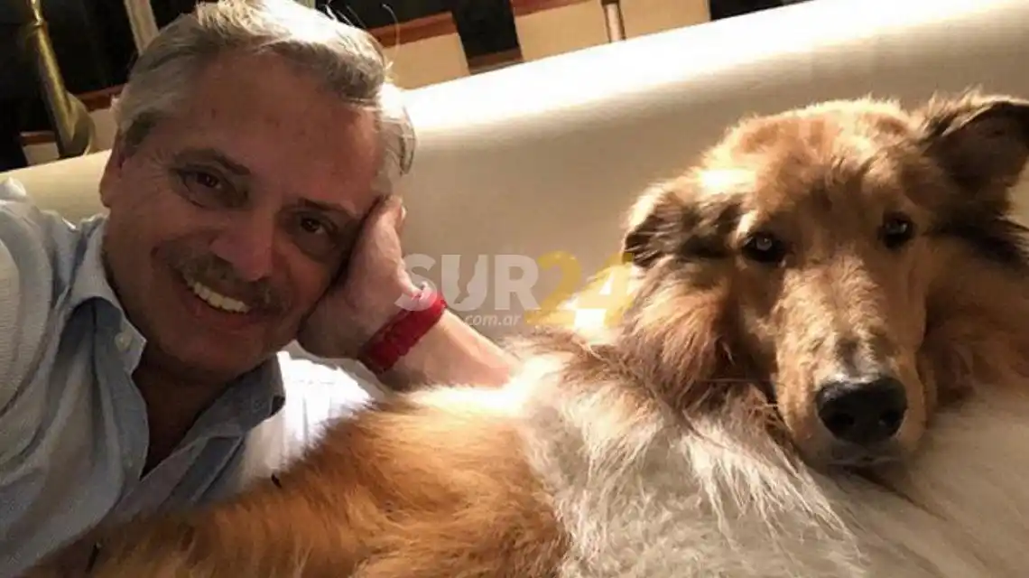 El saludo de Alberto Fernández a Dylan por su cumpleaños