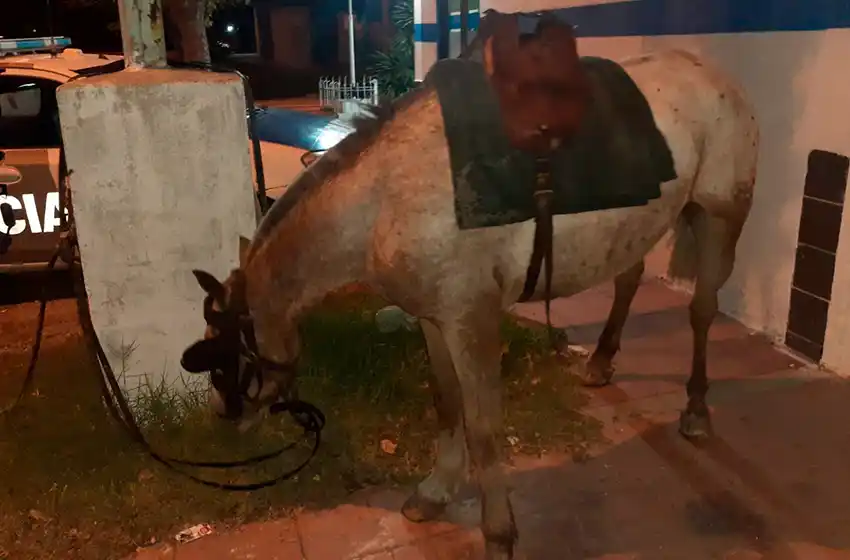 Una de "cowboys": salió borracho, armado y a caballo