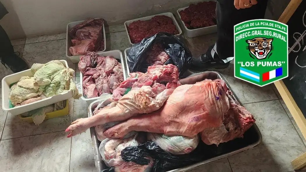 allanaron una carnicería clandestina y secuestraron 129 kilos de carne - 2