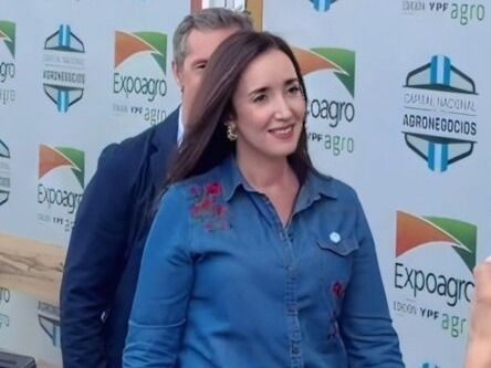 Villarruel condenó la violencia y negó que la marcha buscara desestabilizar al gobierno