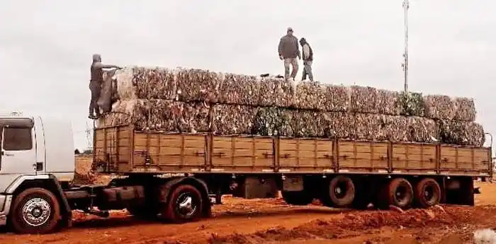 Realizaron una nueva  carga de pet cristal y pet verde  en el Campo Abasto