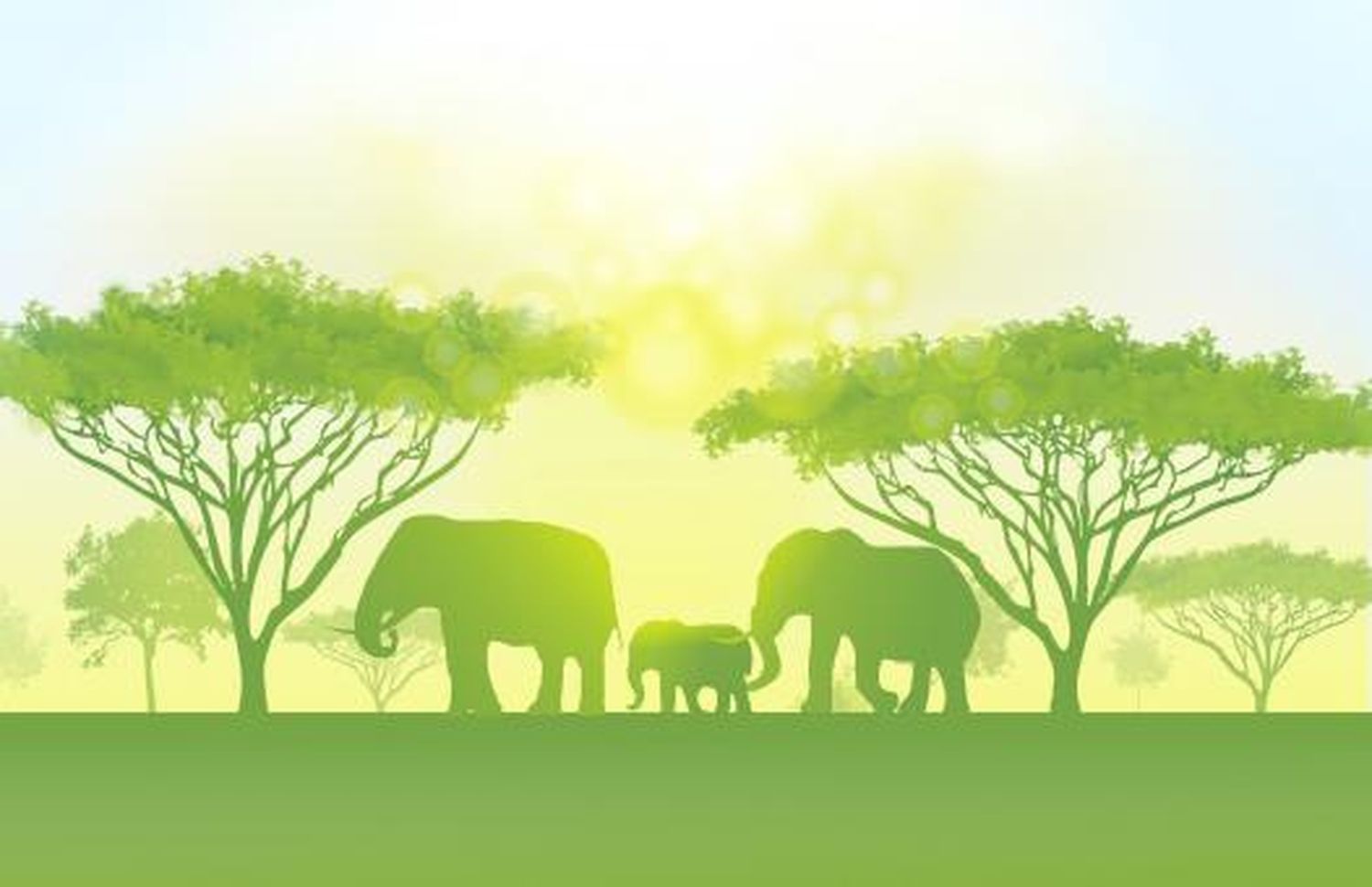 ¡ELEFANTES LIBRES! la petición mundial que conmemora su día