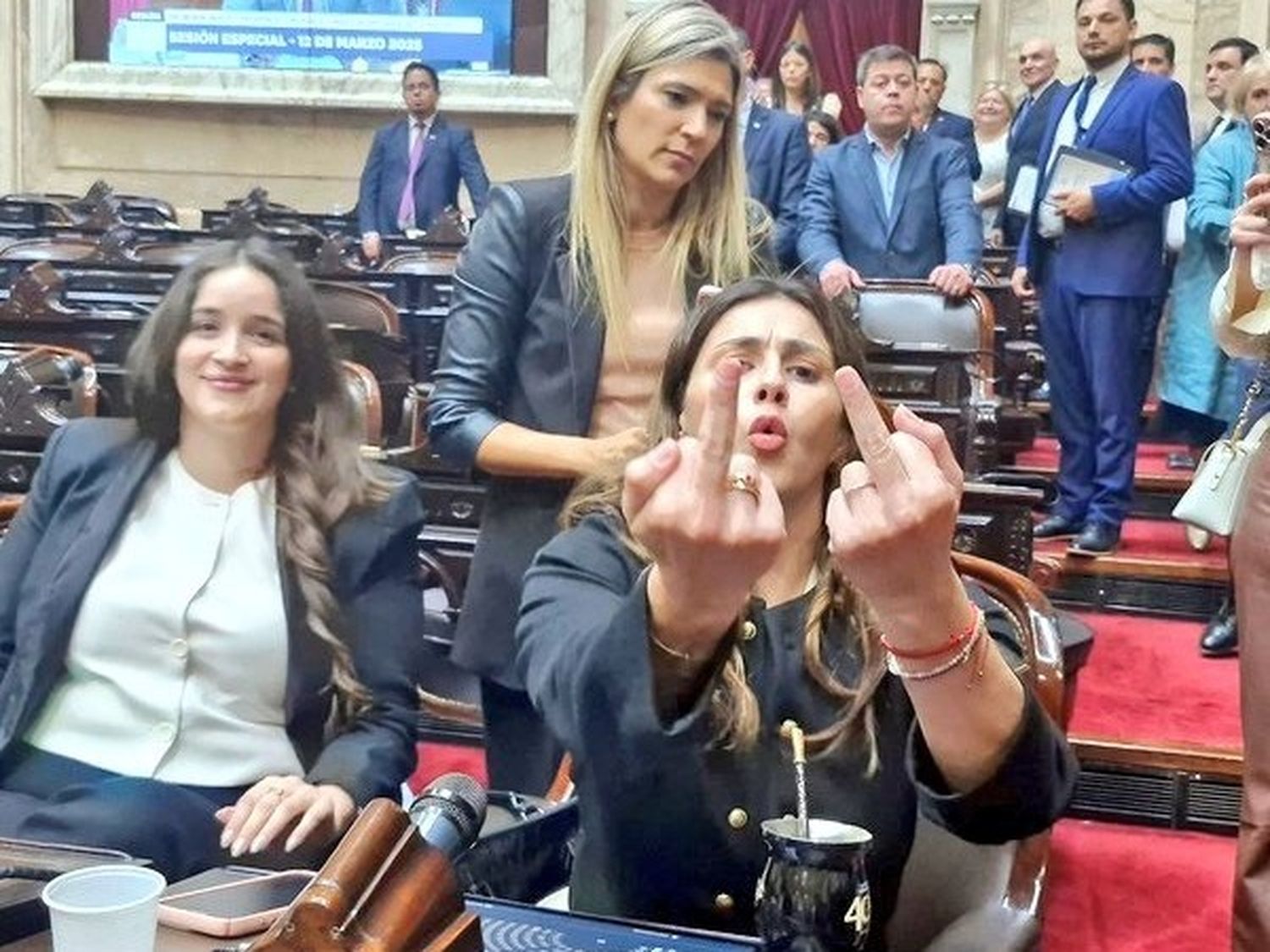 Congreso: del bronce al barro, de Sarmiento a Pagano