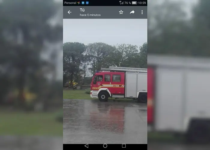 Bomberos: rescate canino en Maxiconsumo