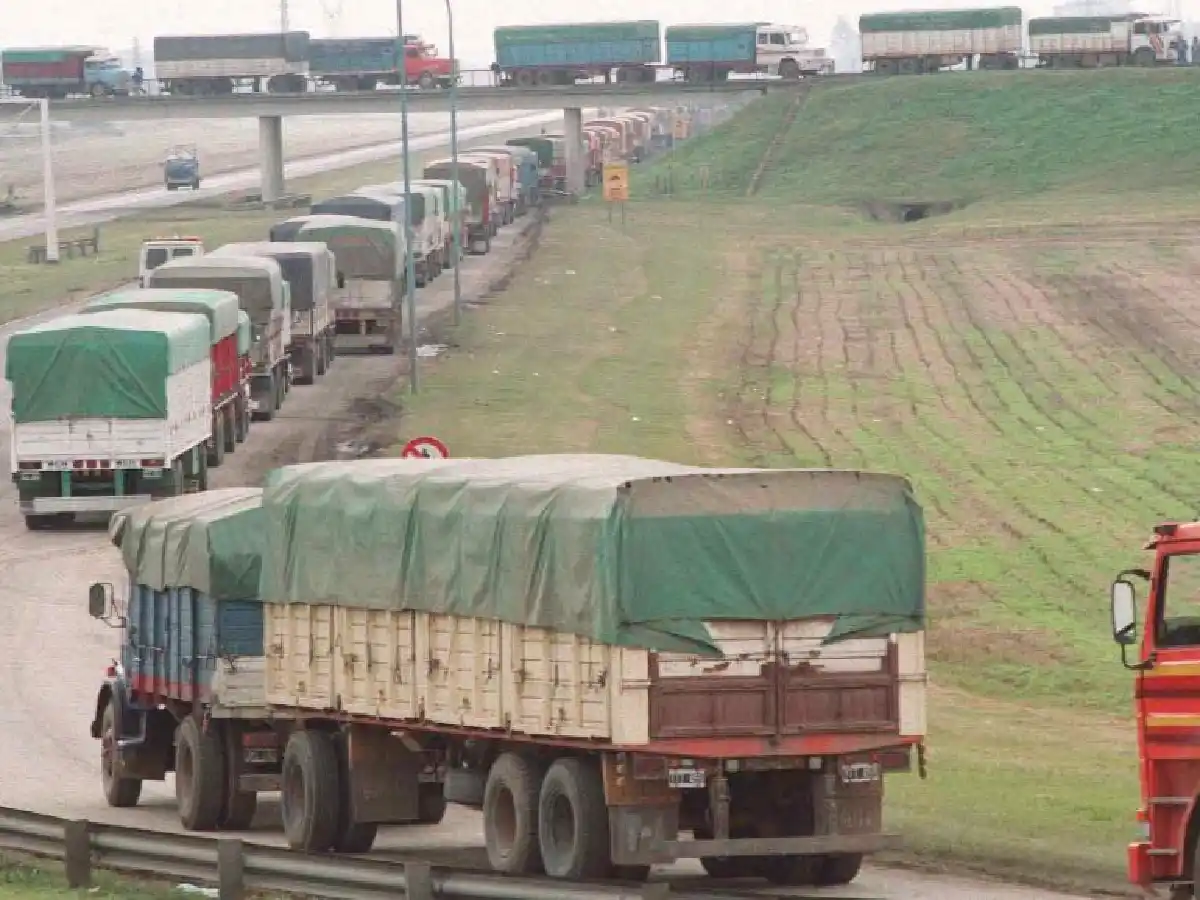 Titular de Carbap afirma que se normaliza la operatoria en el sector agropecuario   