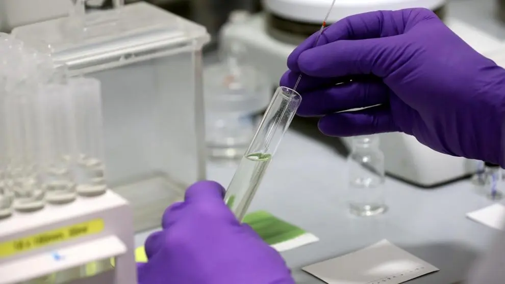Coronavirus: se reportaron 51 nuevos casos positivos en San Pedro