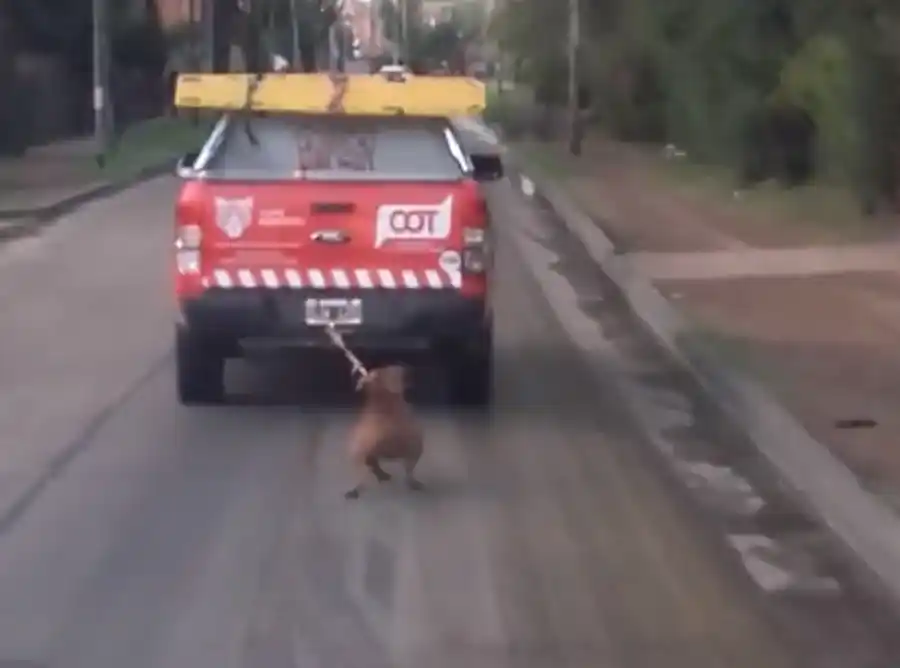 Crueldad extrema en Tigre: Patrulla arrastró a un perro por la calle