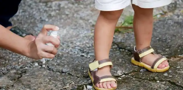 Temporada de mosquitos: todo lo que hay que saber sobre repelentes y picaduras