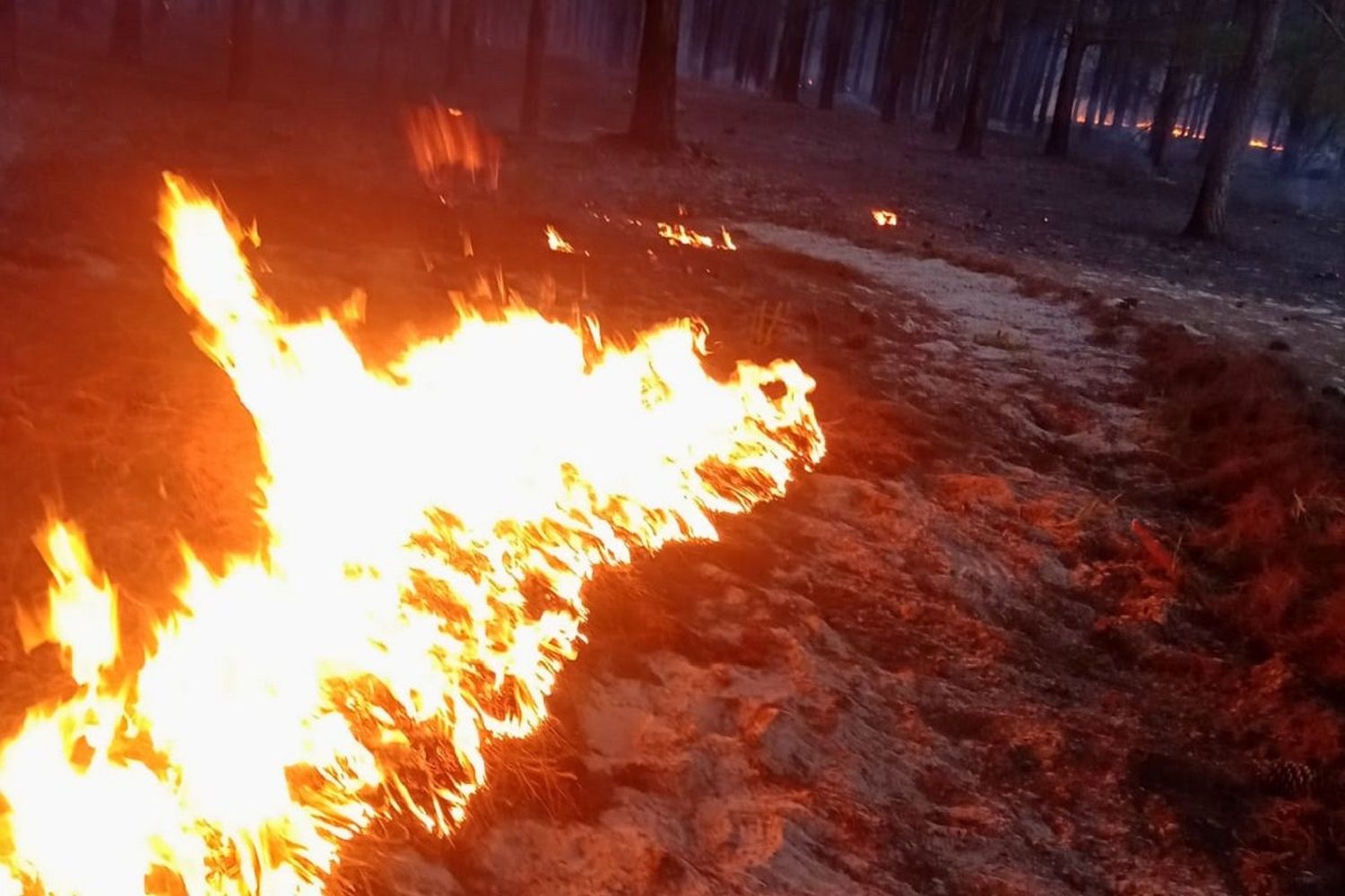 Gualeguay e Ibicuy mantienen focos activos