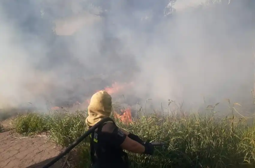 Bomberos combate incendios en malezas