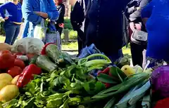 Exitosa jornada del Mercado Alimenticio Barrial en el barrio de La Terminal