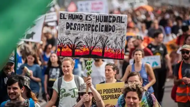Greenpeace: Los humedales tienen la mejor oportunidad en años de ser protegidos